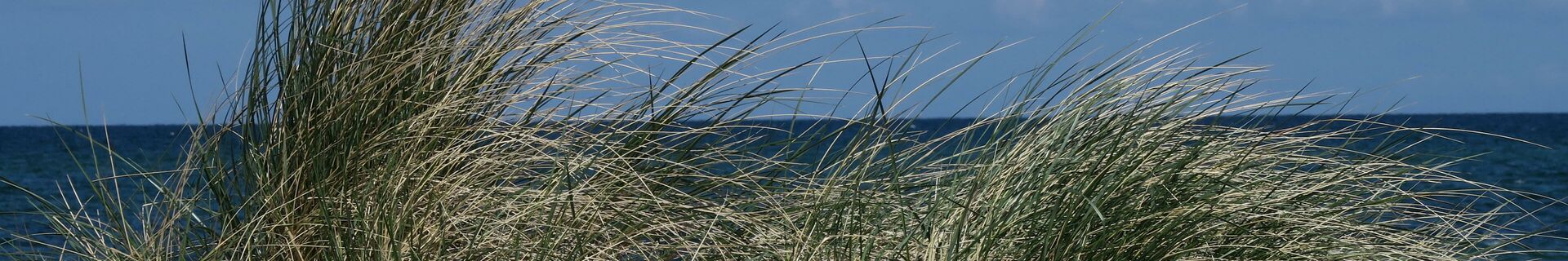 Frische Brise am Ostseestrand