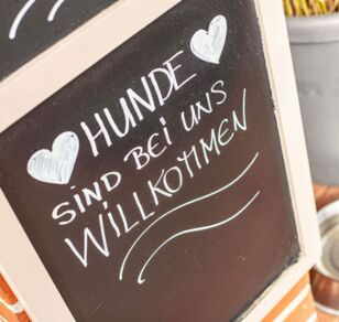 Nordstrand ist der Hundestrand von Kellenhusen