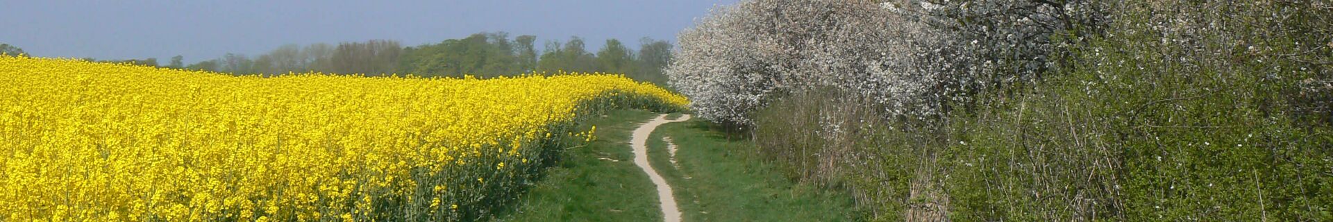 Frühling an der Ostsee bei Kellenhusen